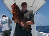 Deep water Red grouper